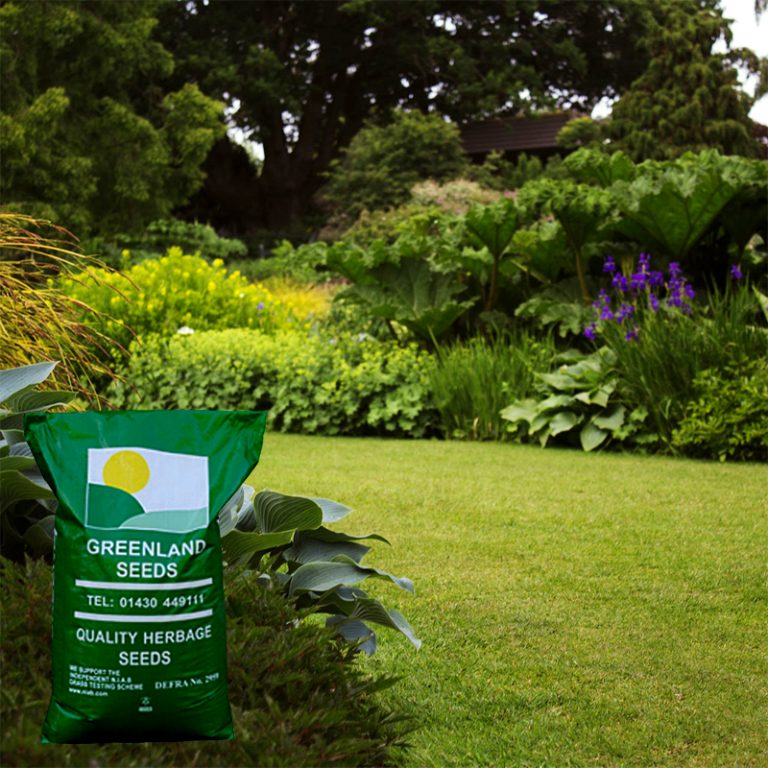 SUPREME Shady Areas Grass Seed Greenland Seeds