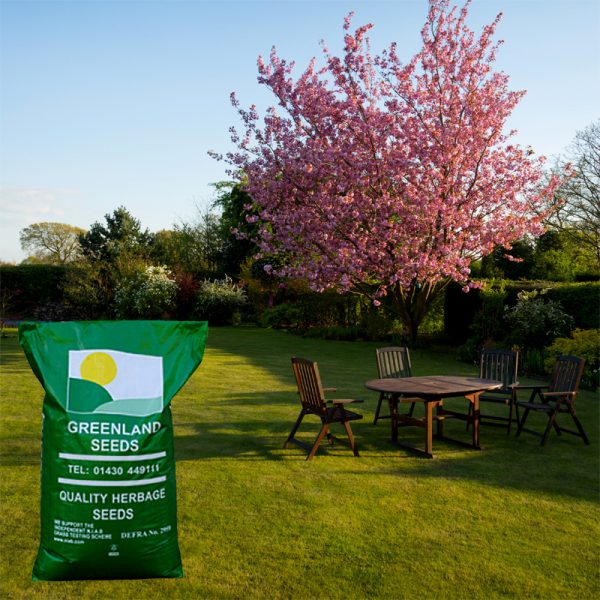 SUPREME Shady Areas Grass Seed Greenland Seeds